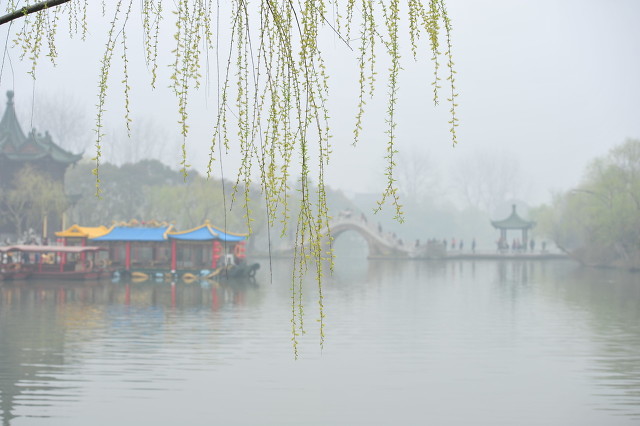 白马啸西风金庸听书,白马啸西风小说金庸免费阅读