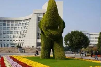 上海被低估的国际化学校,上海大学为啥被称为魔都良心大学