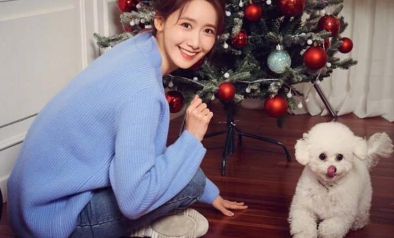 允儿的宠物，IU宠物，Lisa宠物，看到泫雅宠物：挺可爱