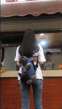 猝不及防一字马搞笑动图,搞笑gif倒立外加一字马