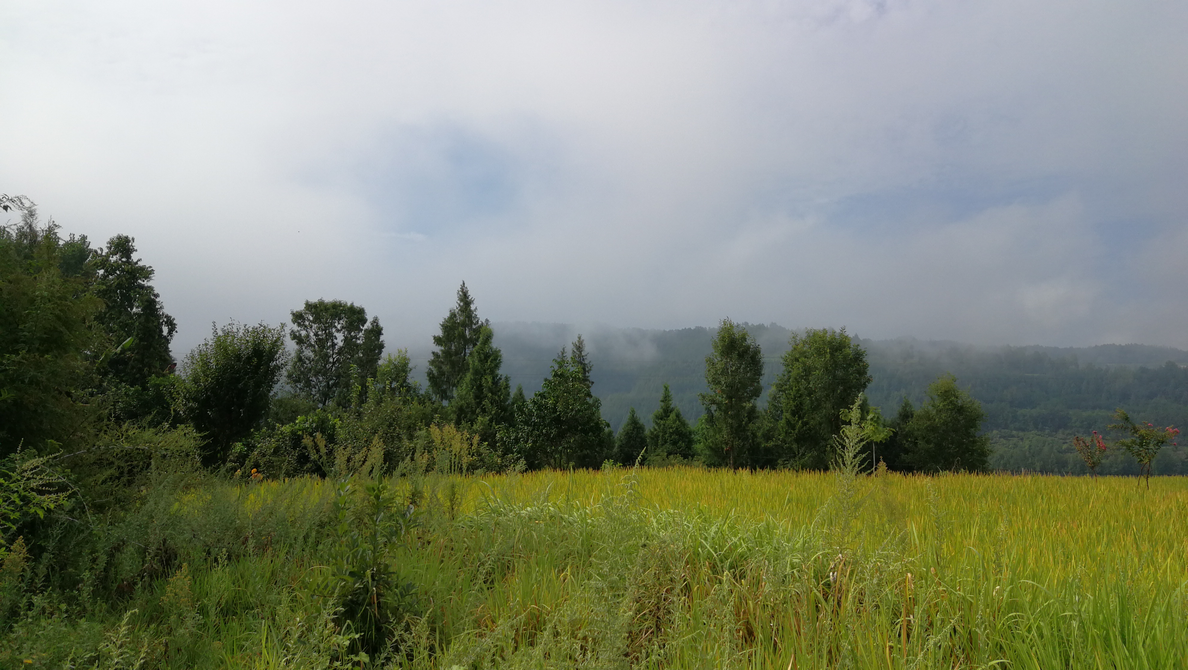 为什么人人都喜欢说教,为什么说教育就是这么一回事