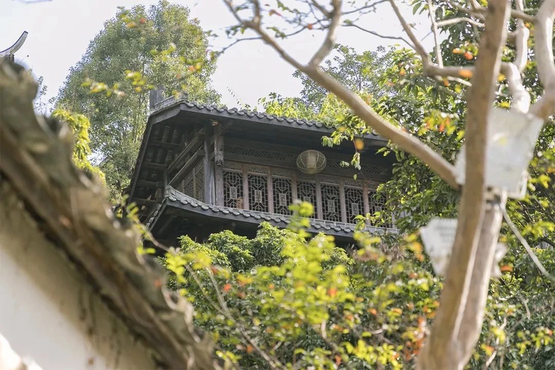 去深圳免费游玩的10个地方,深圳免费游玩景点推荐