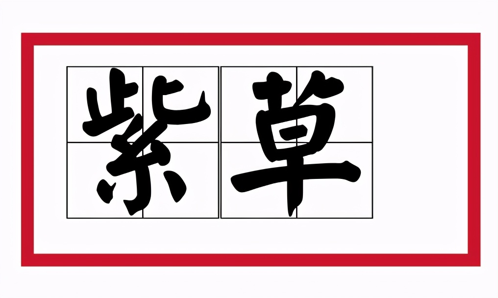 紫草中含哪些有效成分,紫草膏的紫草是什么样子