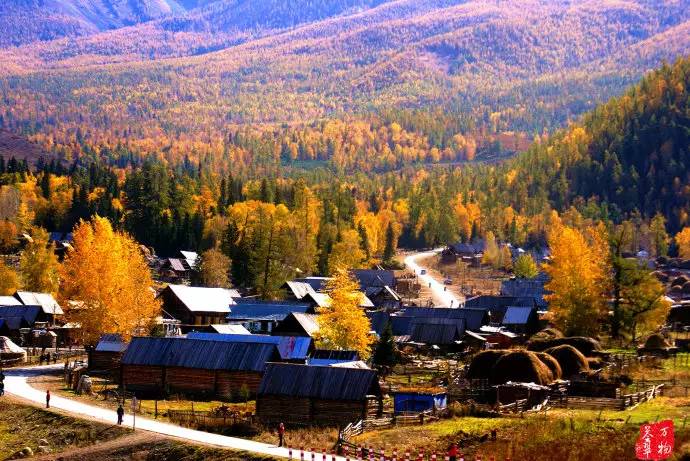 中国鸡尾,中国鸡尾巴