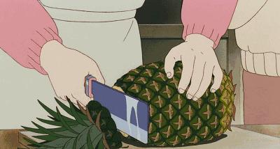 凤梨和菠萝是同一物种吗,菠萝和凤梨到底是不是同一种水果