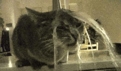 最近很火的泰国产品有哪些,泰国火爆化妆品