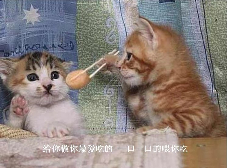 我只想说声爱你,只想再爱你一次