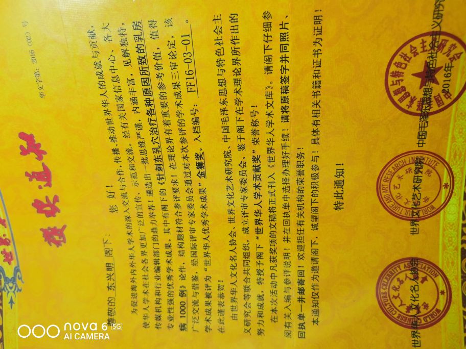 中州东一针——东兴明