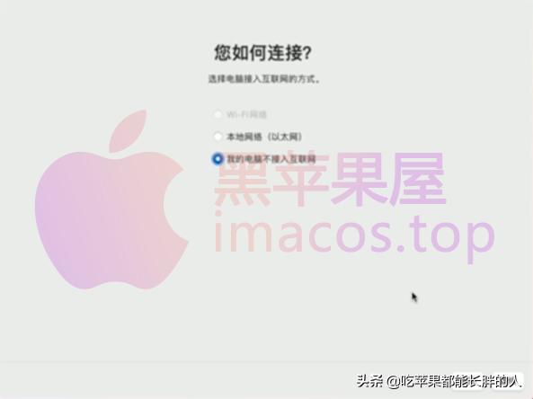 零基础2021最新macOSBigSur黑苹果安装完整教程opencore引导