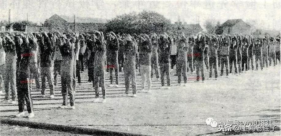 「南汇县篇」回望上世纪八九十年代的上海学校,有侬的母校伐?