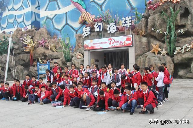 放飞海洋梦想感受丝绸传奇观后感,放飞海洋梦想感受丝路传奇研学题