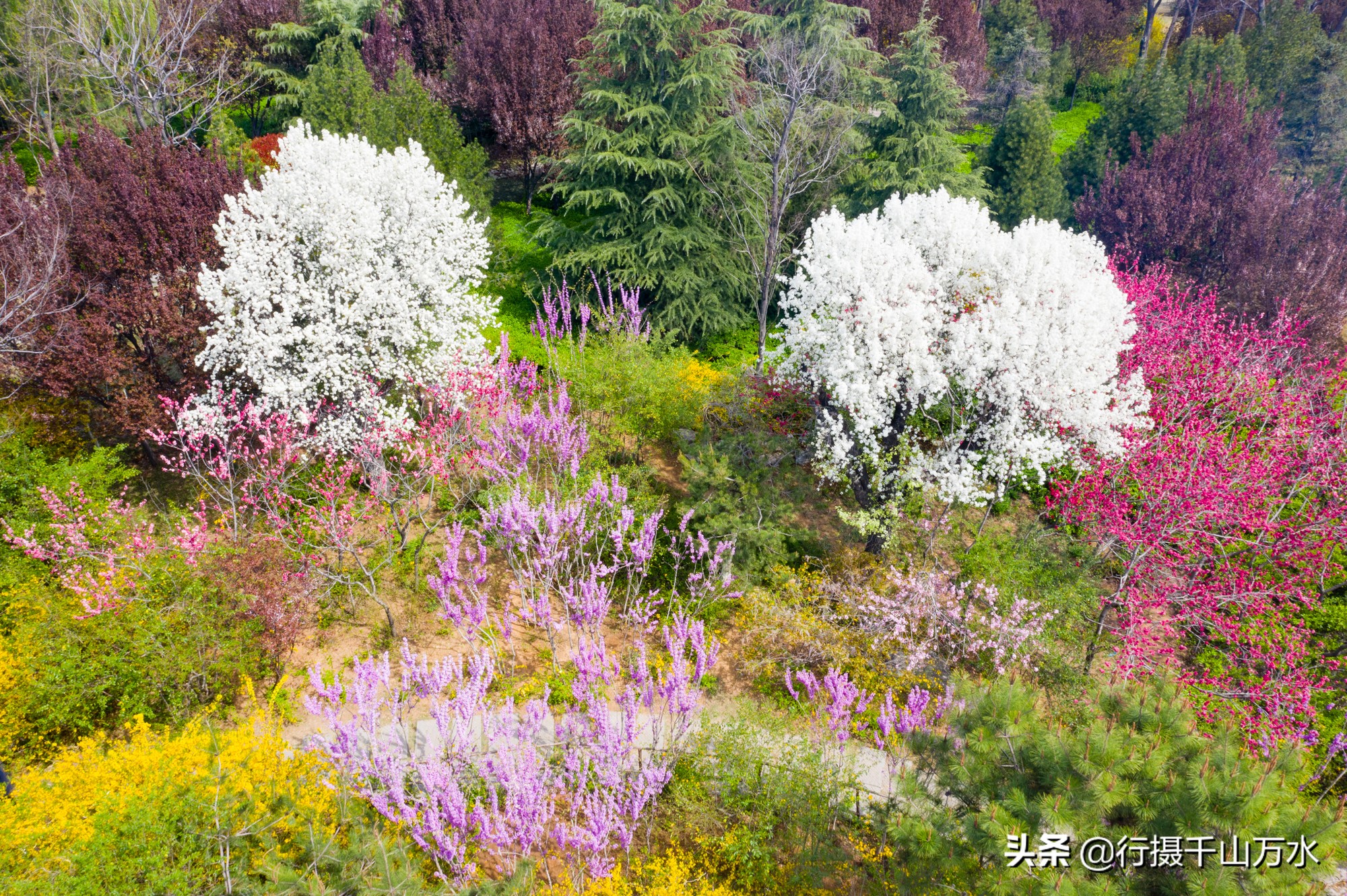 济南免费的森林公园,济南森林公园色彩斑斓秋意渐浓