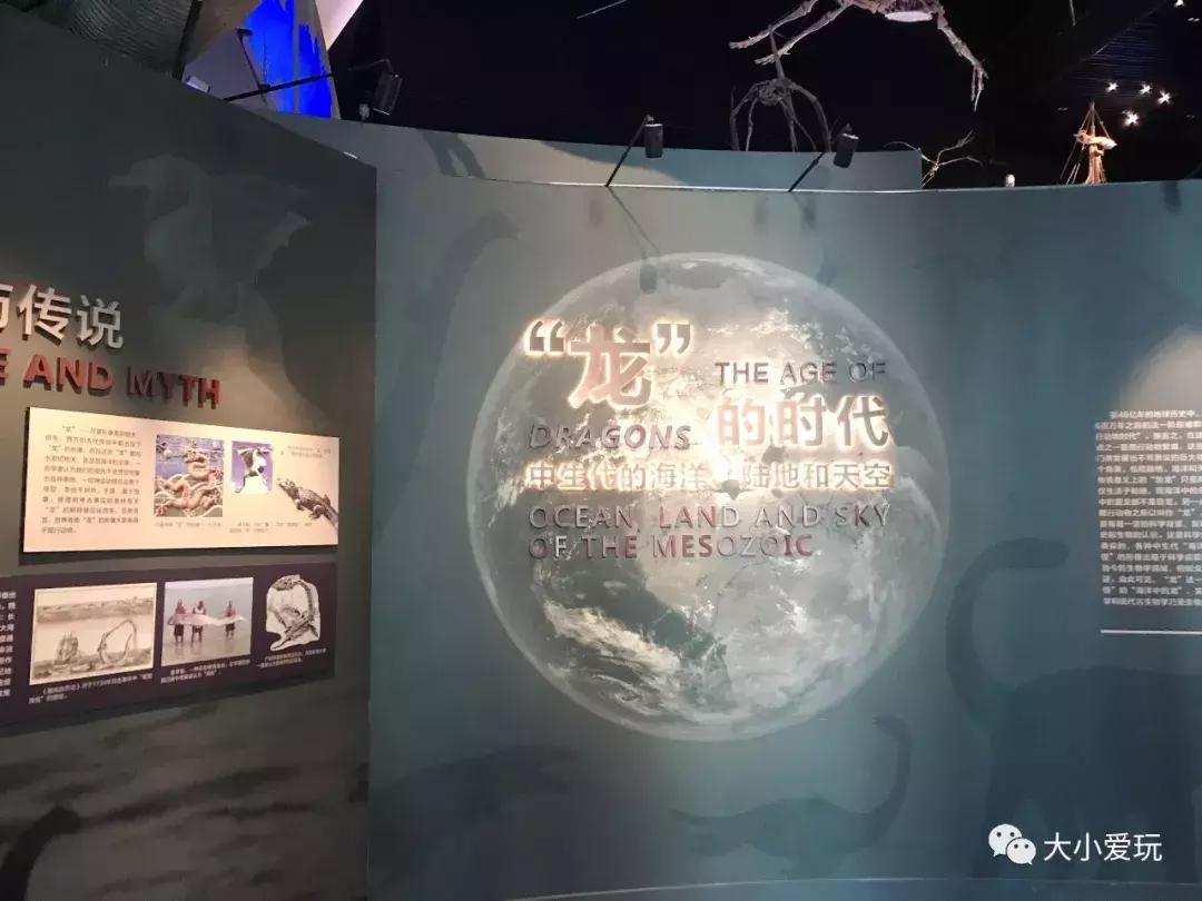 开放首日实探国家海洋博物馆，史上最抢手博物馆究竟长什么样