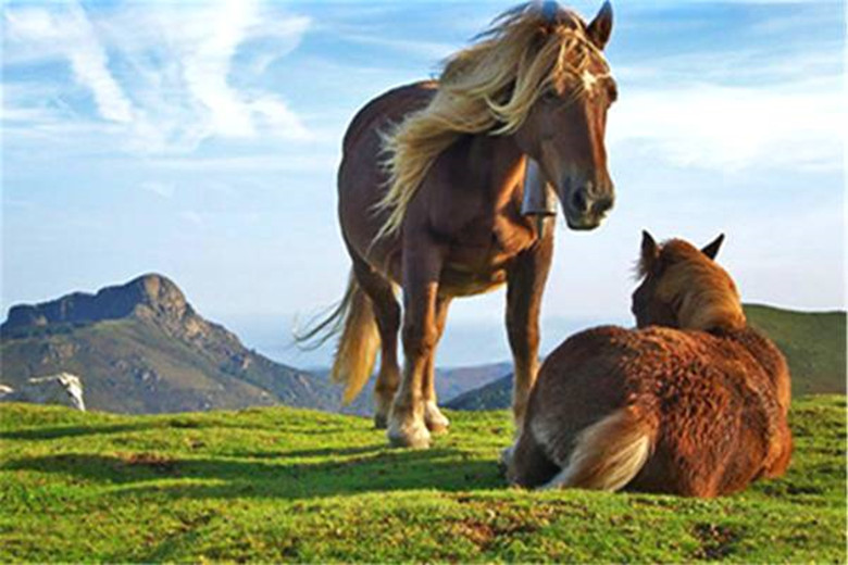 俗话说得好日久见人心,农村老话10句精辟入骨