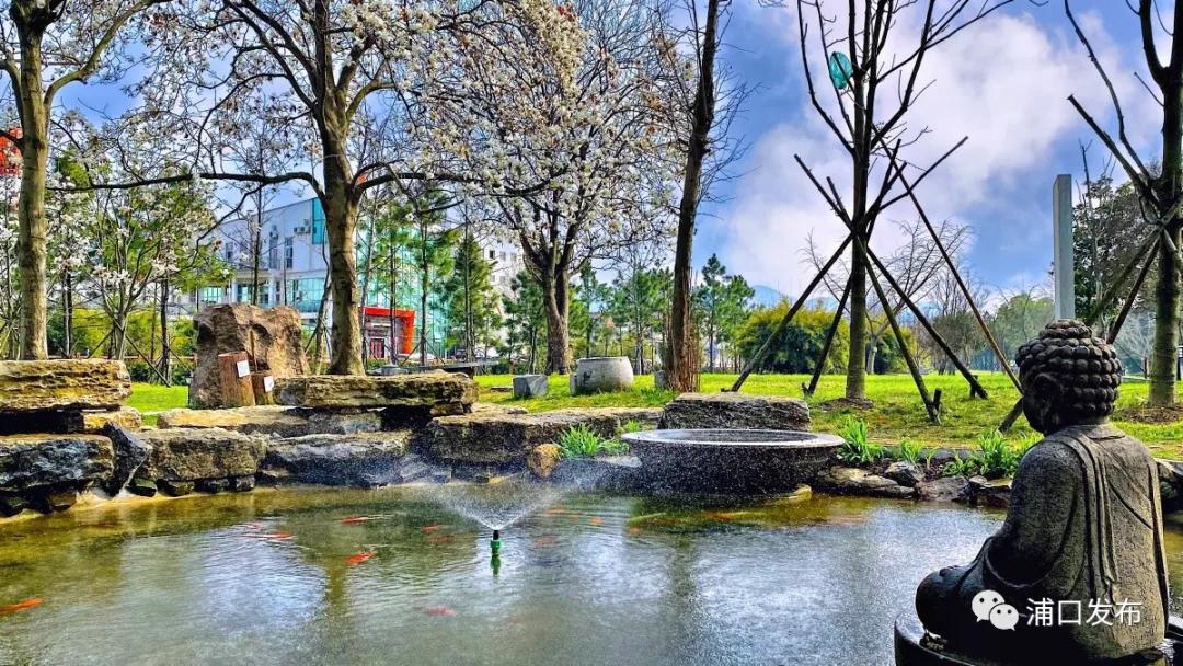 浦口花,南京看花的地方浦口