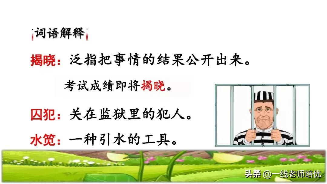 四年级上册豆荚里的五粒豆笔记,一个豆荚里的五粒豆四年级课文