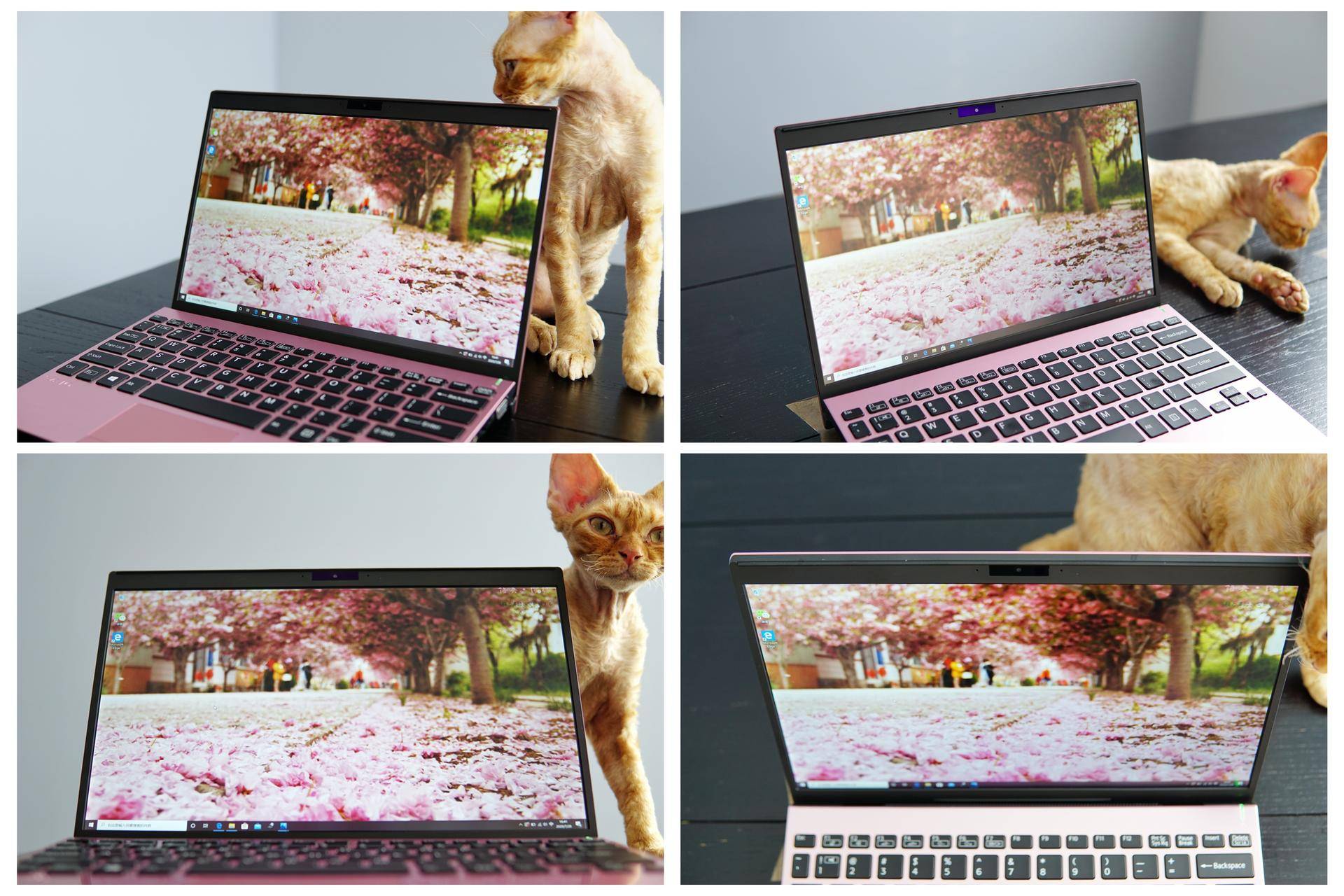 双十一必买数码清单,双十一快速购物清单