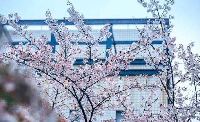 这才是上海最好的牛肉面,近期上海最牛的区