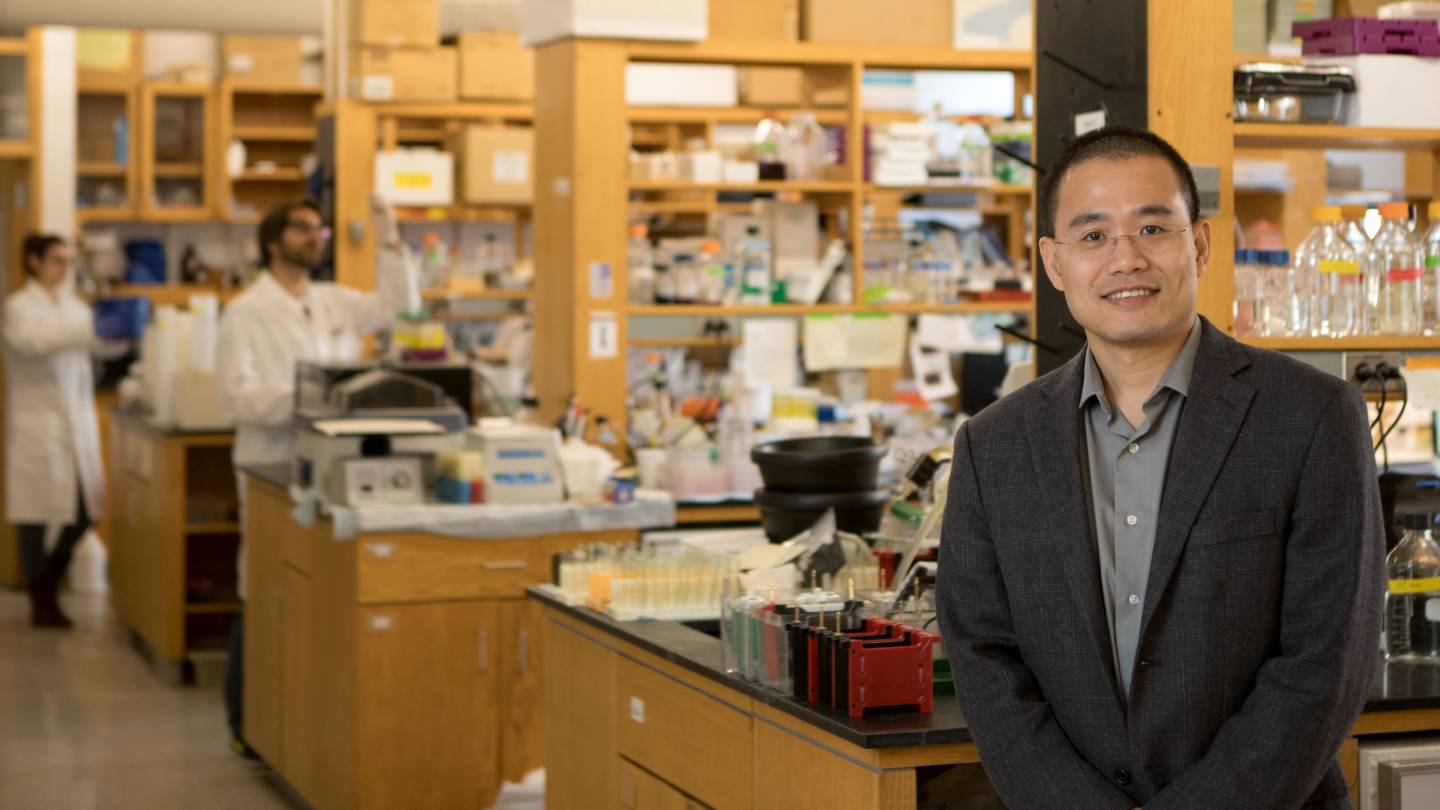 康毅滨福建,教授康毅滨