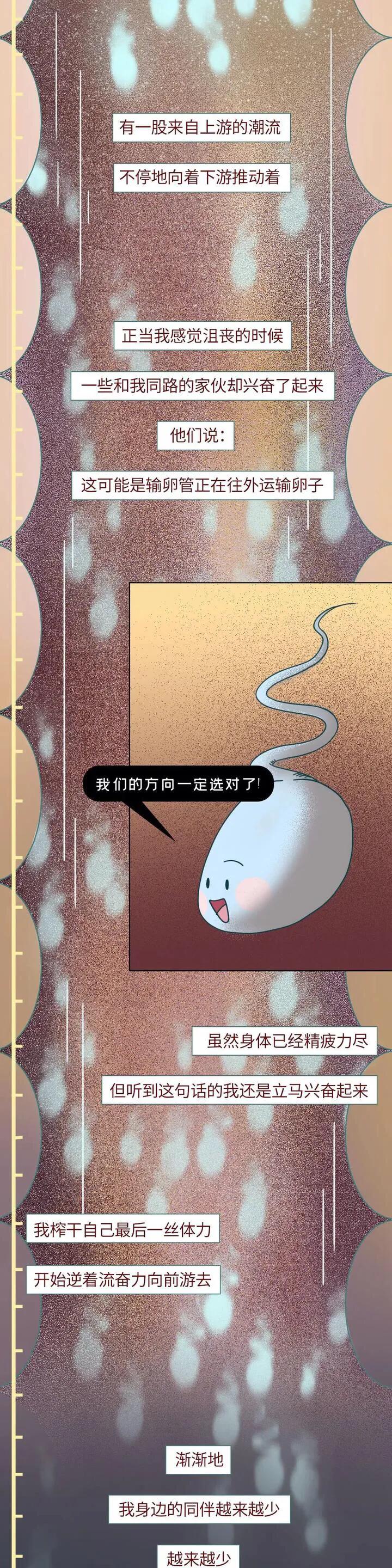 绮惧瓙杩涘叆浜轰綋1灏忔椂鍙樺寲,绮惧瓙杩涘叆浜轰綋48灏忔椂鍙樺寲