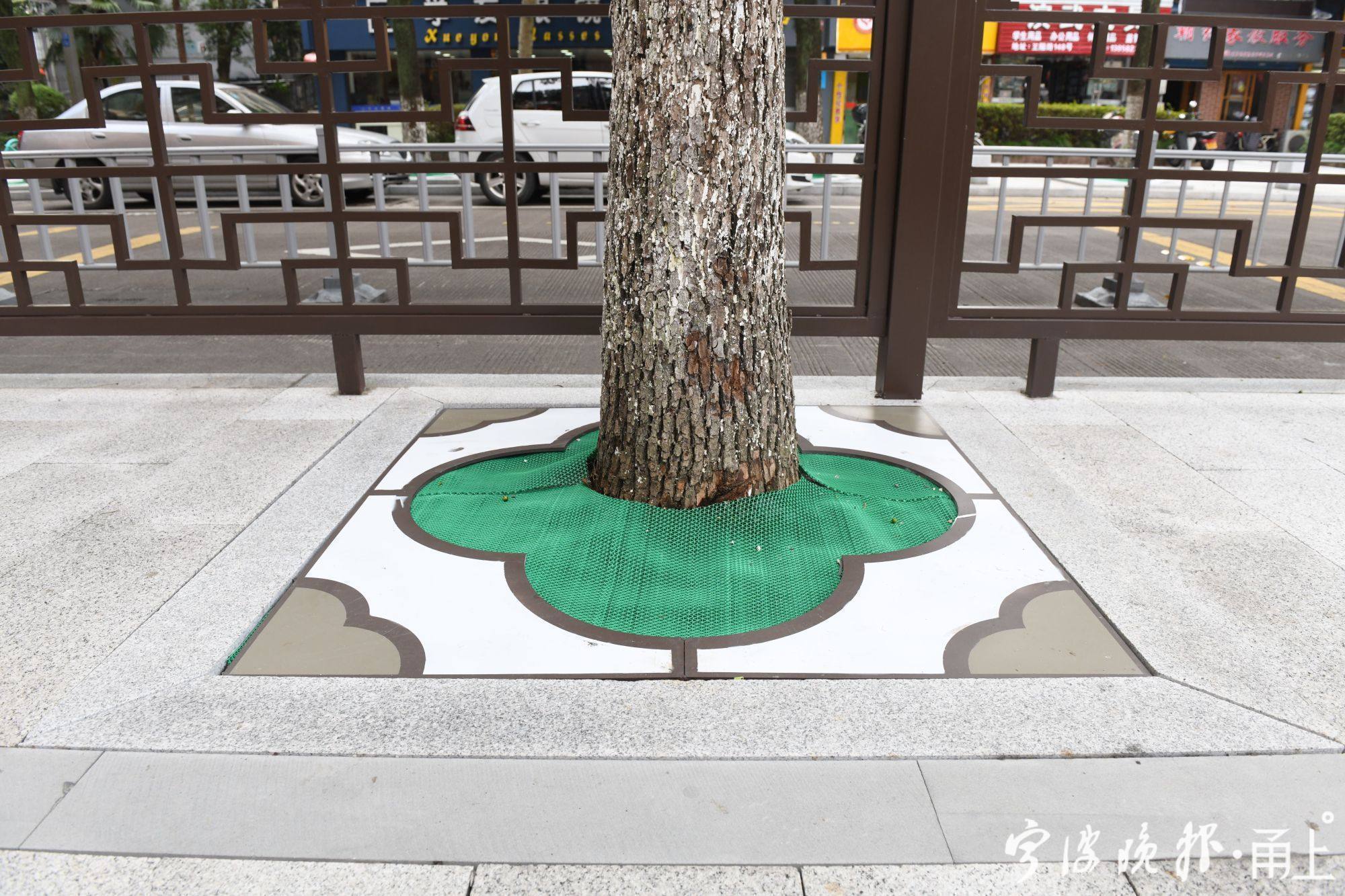 宁波鄞州区最美上学路,宁波鄞州区最美的路