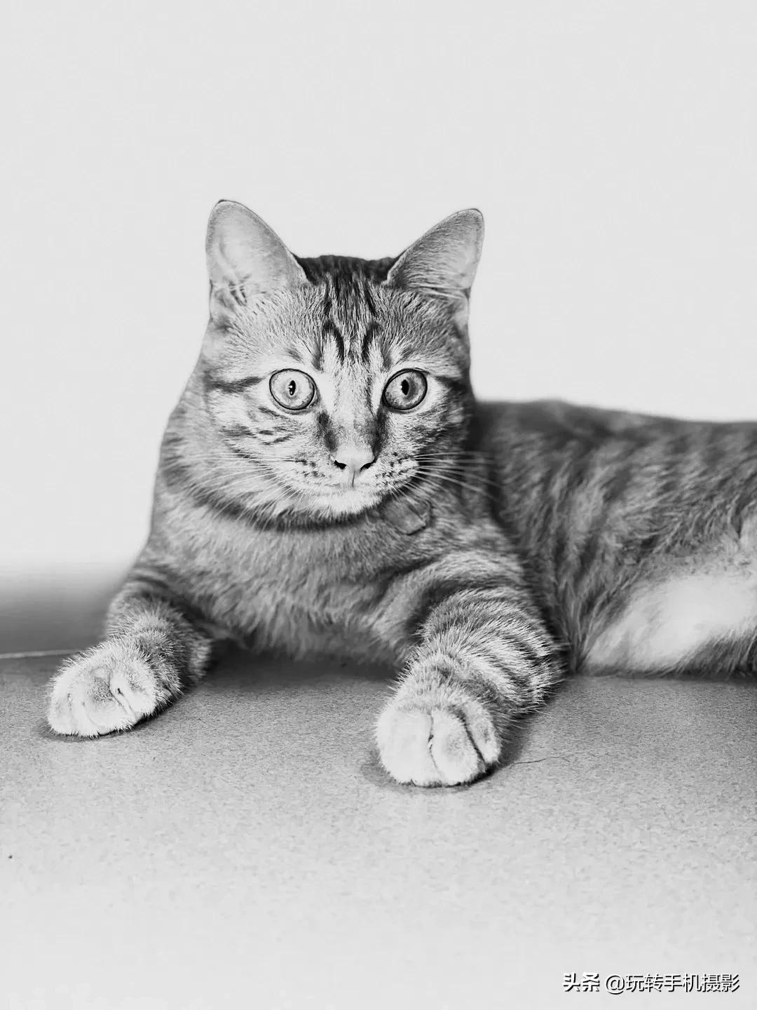 为什么都喜欢用iphone拍照,为什么大家都喜欢用iphone拍照