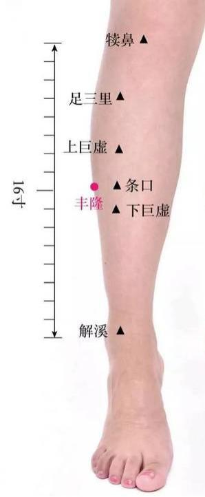 杨斌从中医的角度解读湿气,中医里的湿气西医怎么治疗