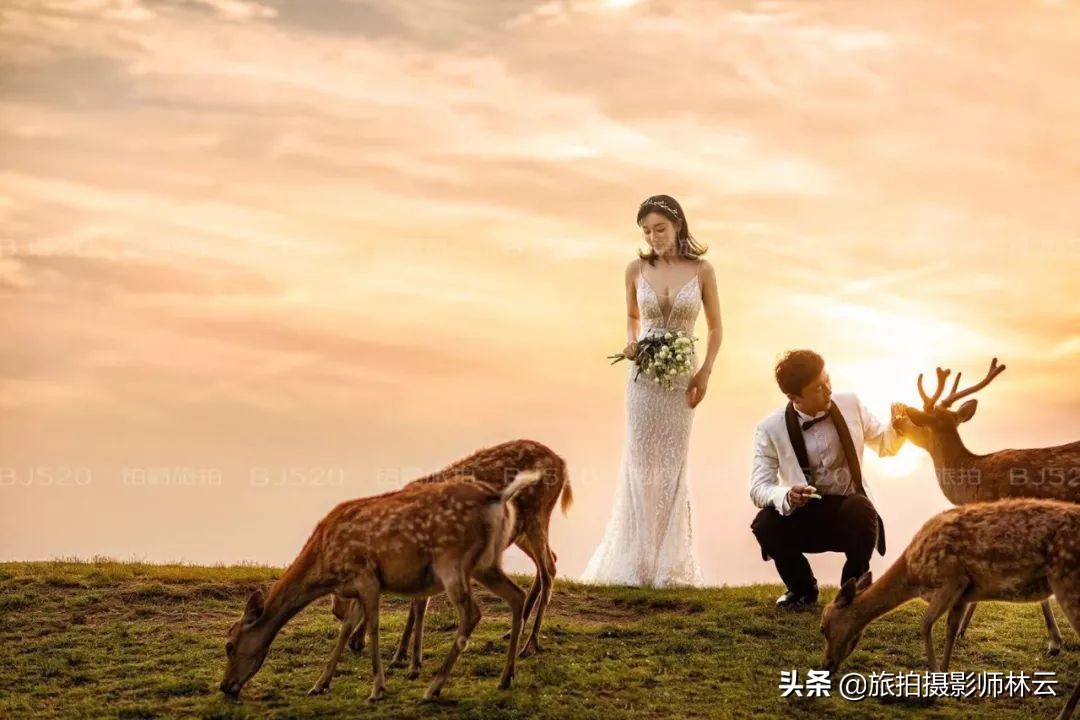 海景婚纱怎么选衣服,婚纱照攻略推荐