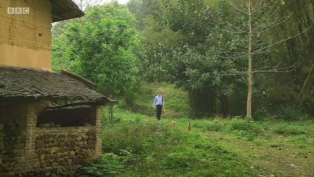 36首经典励志古诗词送给孩子,儿童必背十首经典诗词