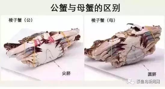 秦皇岛美食排行榜前十名海鲜,秦皇岛最好的海鲜自助餐厅排名榜