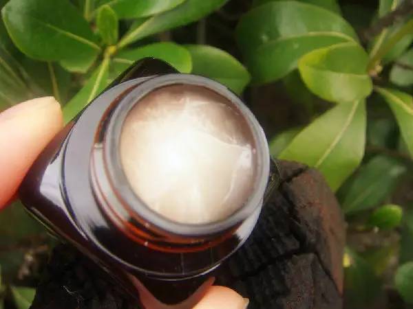 兰蔻雅诗兰黛眼霜哪个好,雅诗兰黛小棕瓶眼霜平替