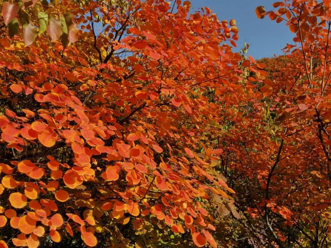 温馨提示新骗局,温馨提示发现假币报警