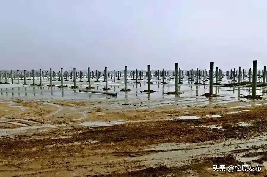 征程万里风正劲农商行,征程万里风正劲劈波斩浪启新程