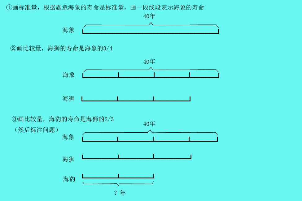 小学数学怎样画线段图列方程,小学数学画线段图方法