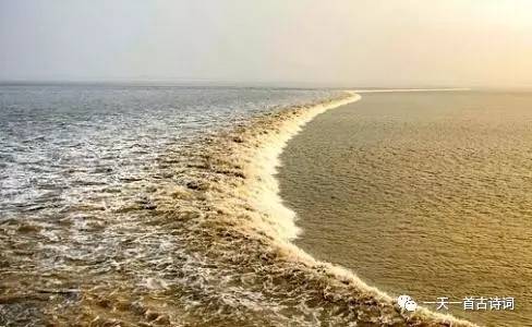 花好月圆诗原文,有花好月圆的古诗十首