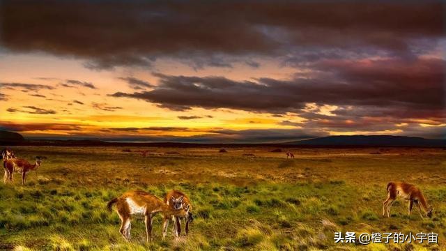 智利沙漠五指山图片,智利五指山的真实生活