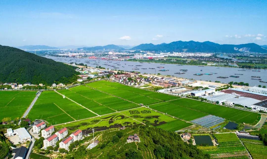 钱塘江画卷,钱塘江画作