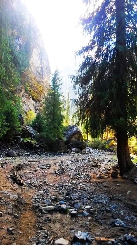 带上UL从狼塔C回家