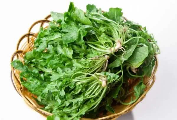 春天的野菜冬天吃很满足,春天的时蔬