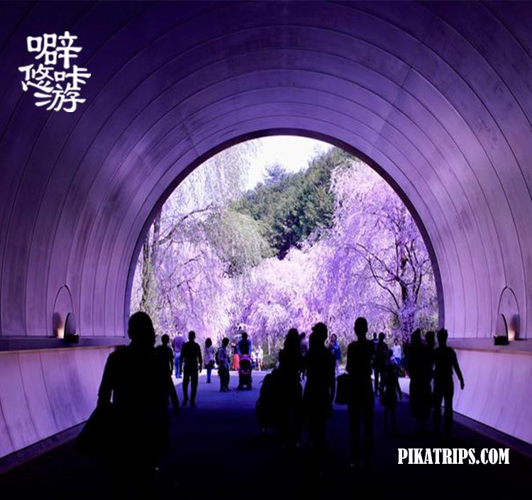 日本京都府旅游攻略,旅行日本京都滋贺