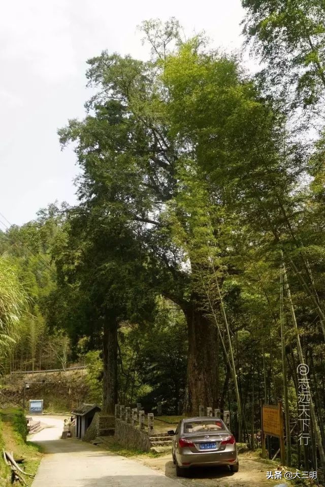 中国绿都最氧三明春回大地,大武夷旅游绿都三明