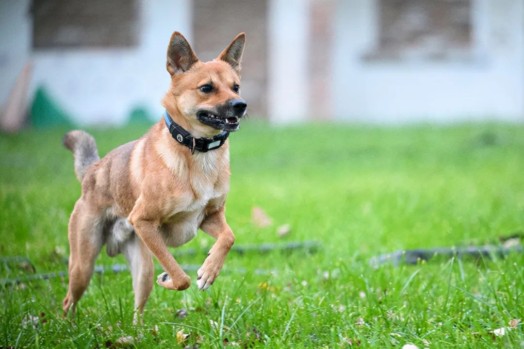 灏煎悍z100-400璇勬祴,灏煎悍z70-2002.8s