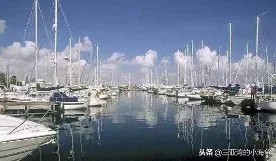 我叫塞浦路斯,这是我的名片,请您收好!