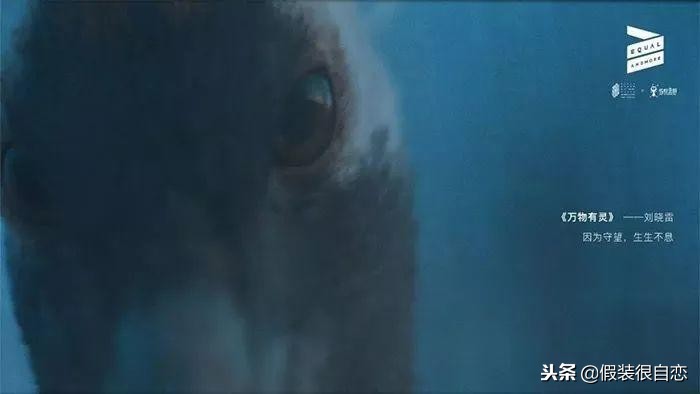 8个营销关键词，告别2018