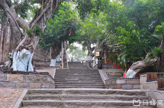 海上花园鹭岛行,海上花园鹭岛城市
