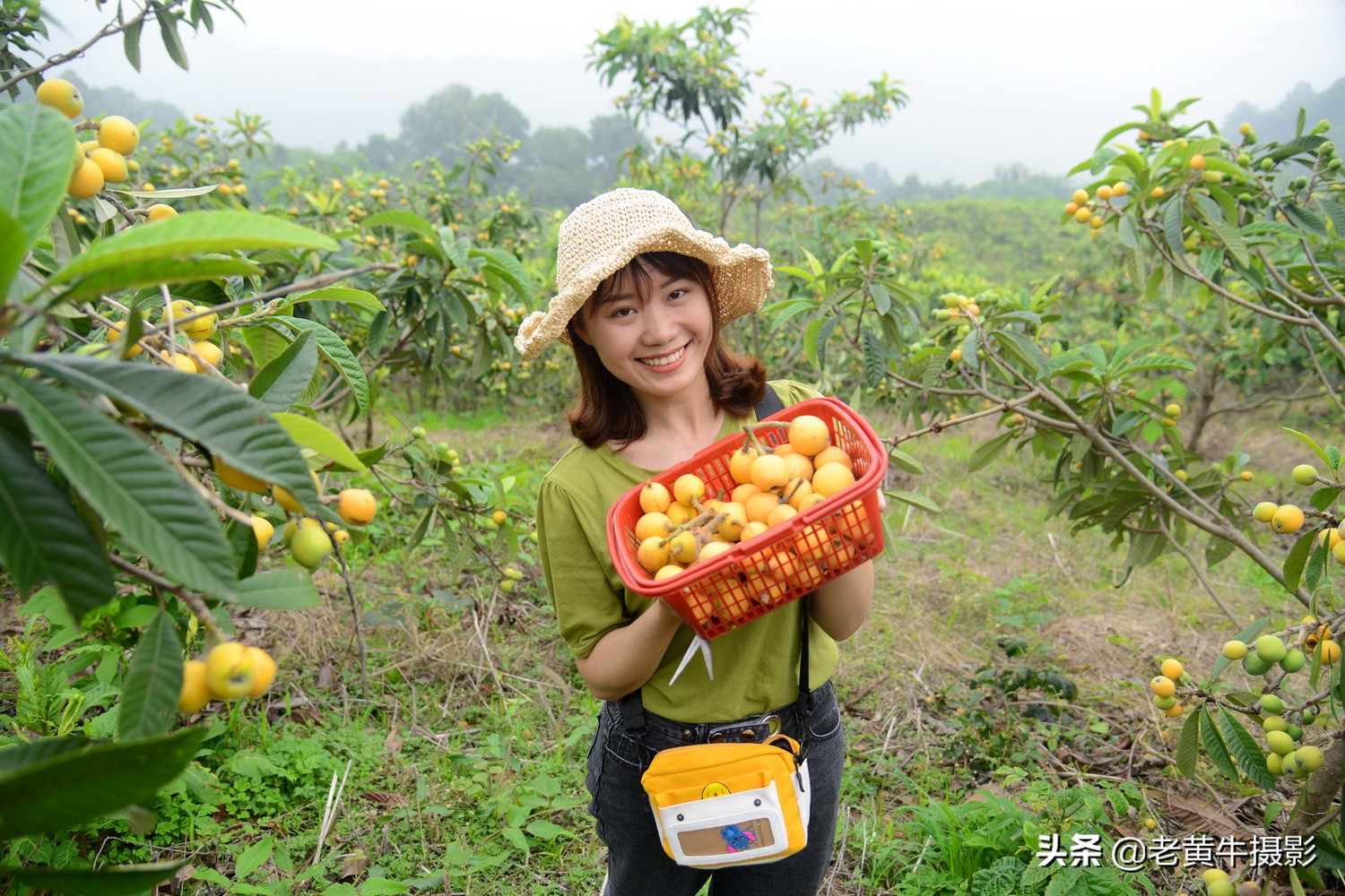 湖北京山摄影,京山摄影作品