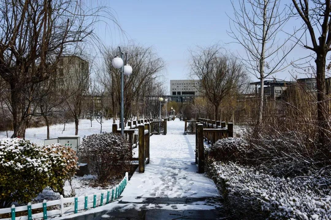 天津公办3+2本科学校有哪些,天津市专升本天津师范大学