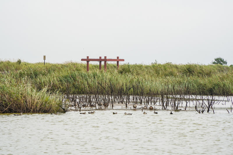 山东周边游2天1夜小众,5.1山东五日游