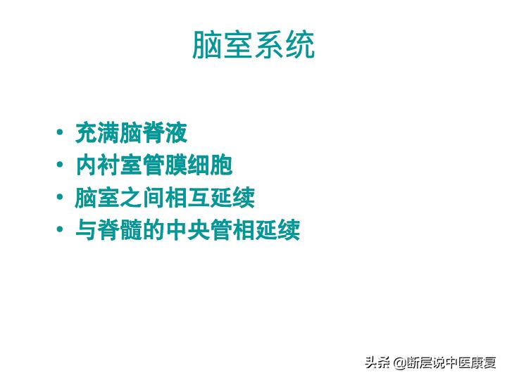 中枢神经系统断层解剖讲解,中枢神经3d解剖动画