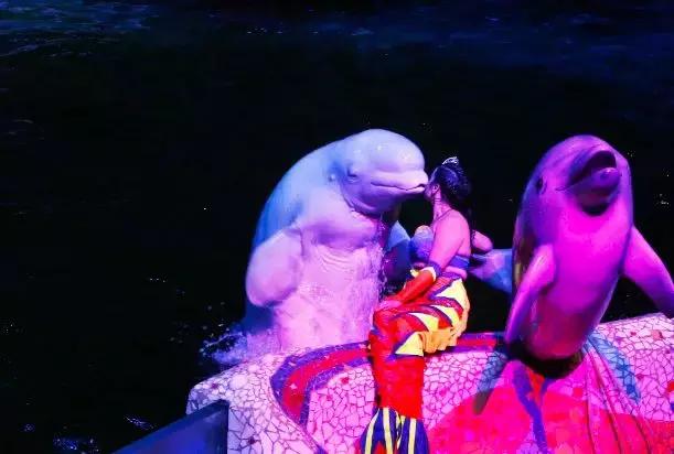 辽宁有美丽的小镇,辽宁有个小城市